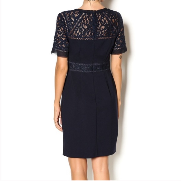Rebecca Taylor Navy Lace Sheath Dress - Picture 4 of 16